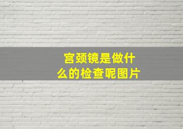 宫颈镜是做什么的检查呢图片