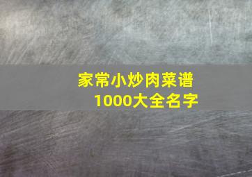 家常小炒肉菜谱1000大全名字