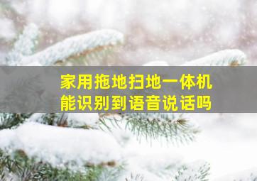 家用拖地扫地一体机能识别到语音说话吗