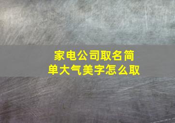 家电公司取名简单大气美字怎么取