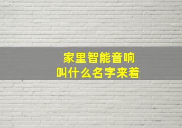 家里智能音响叫什么名字来着