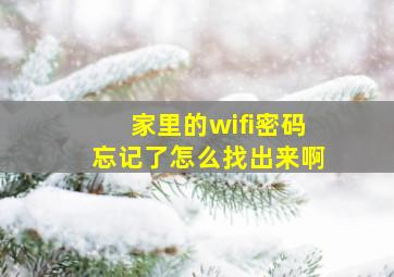 家里的wifi密码忘记了怎么找出来啊