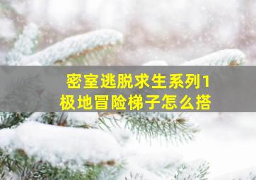 密室逃脱求生系列1极地冒险梯子怎么搭