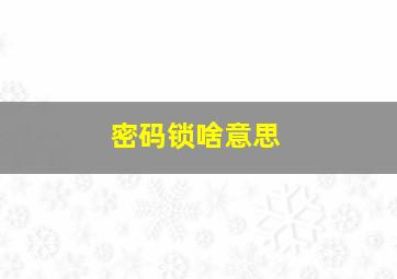 密码锁啥意思