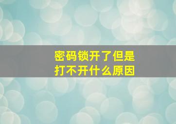 密码锁开了但是打不开什么原因