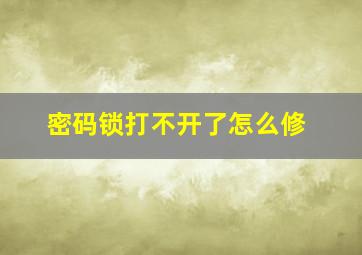 密码锁打不开了怎么修