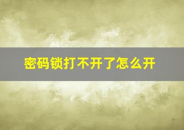 密码锁打不开了怎么开