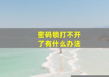 密码锁打不开了有什么办法