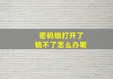 密码锁打开了锁不了怎么办呢