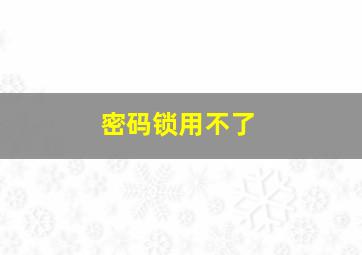 密码锁用不了