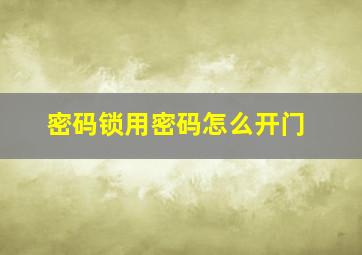 密码锁用密码怎么开门