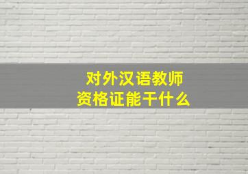 对外汉语教师资格证能干什么