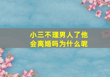 小三不理男人了他会离婚吗为什么呢