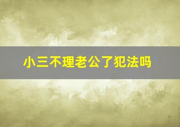 小三不理老公了犯法吗