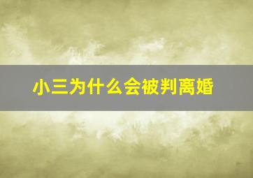 小三为什么会被判离婚