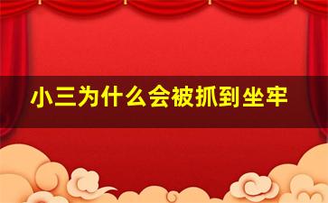 小三为什么会被抓到坐牢