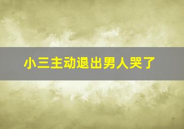 小三主动退出男人哭了