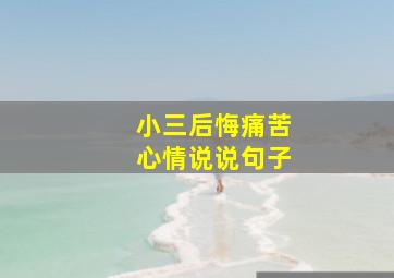 小三后悔痛苦心情说说句子