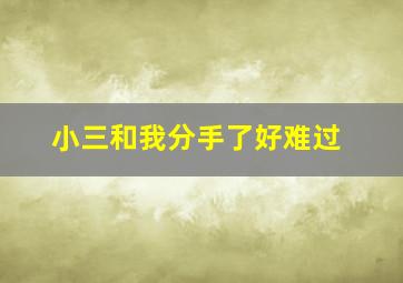 小三和我分手了好难过