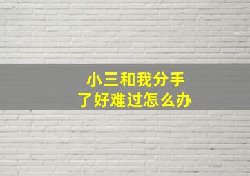 小三和我分手了好难过怎么办