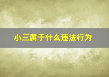 小三属于什么违法行为