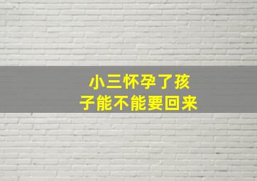 小三怀孕了孩子能不能要回来