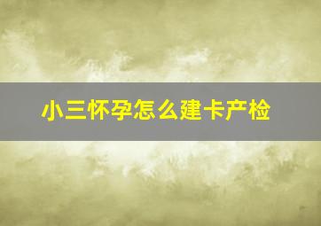 小三怀孕怎么建卡产检