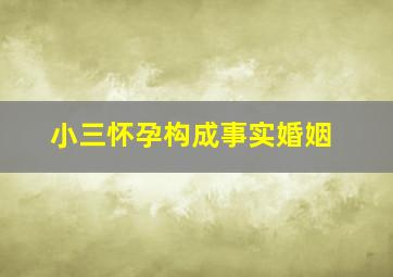 小三怀孕构成事实婚姻