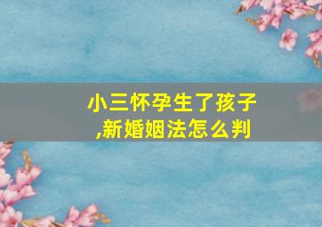 小三怀孕生了孩子,新婚姻法怎么判