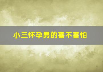 小三怀孕男的害不害怕