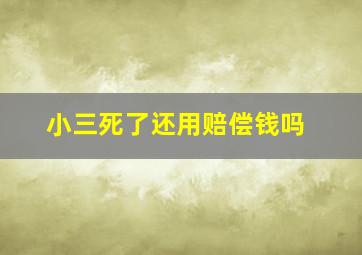 小三死了还用赔偿钱吗