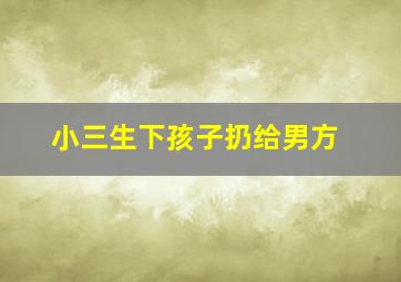 小三生下孩子扔给男方