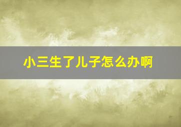 小三生了儿子怎么办啊