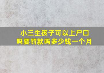 小三生孩子可以上户口吗要罚款吗多少钱一个月