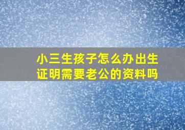 小三生孩子怎么办出生证明需要老公的资料吗