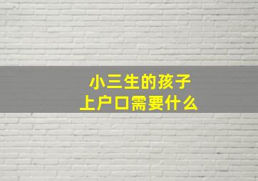 小三生的孩子上户口需要什么