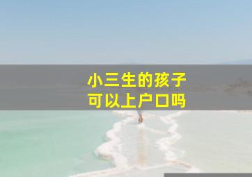 小三生的孩子可以上户口吗