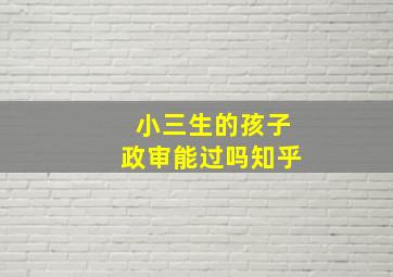 小三生的孩子政审能过吗知乎