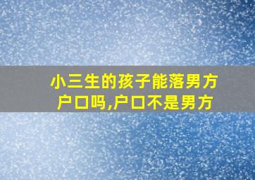 小三生的孩子能落男方户口吗,户口不是男方