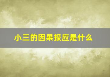 小三的因果报应是什么