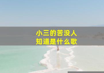 小三的苦没人知道是什么歌