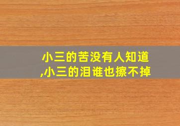 小三的苦没有人知道,小三的泪谁也擦不掉