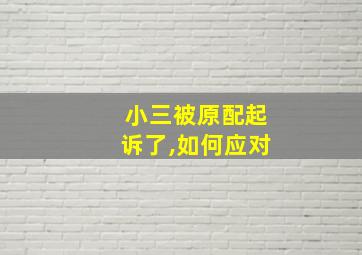 小三被原配起诉了,如何应对