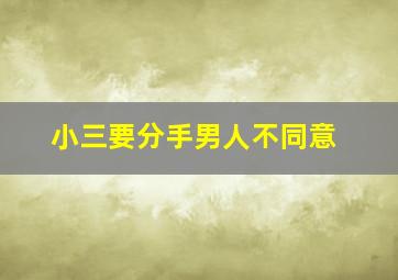 小三要分手男人不同意