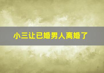 小三让已婚男人离婚了