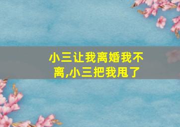 小三让我离婚我不离,小三把我甩了