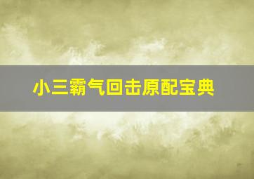 小三霸气回击原配宝典