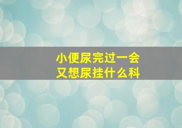 小便尿完过一会又想尿挂什么科