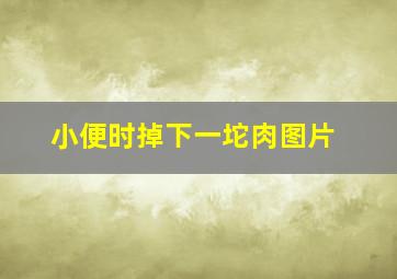 小便时掉下一坨肉图片