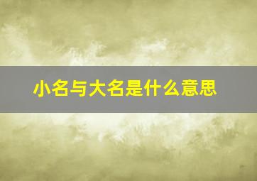 小名与大名是什么意思